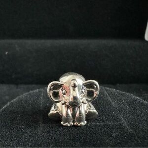 Pandora Charm